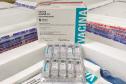 Paraná recebe 548 mil vacinas contra a Covid-19 para continuar campanha de imunização