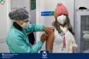 Vacinação contra a Covid-19 bate recorde no final de semana; mais de 122,3 mil doses foram aplicadas