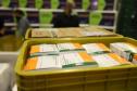 141 mil doses de vacinas contra a Covid-19 chegam ao Paraná nesta segunda-feira