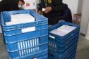 Mais 279,2 mil vacinas contra a Covid-19 chegam ao Paraná