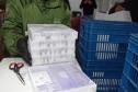 Mais 279,2 mil vacinas contra a Covid-19 chegam ao Paraná