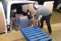 Paraná recebe novas doses e soma 209,1 mil vacinas contra a Covid-19 entregues nesta segunda