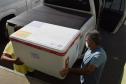  Paraná distribui nesta segunda-feira 223.268 doses de vacinas contra a Covid-19