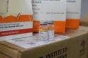 Mais 187 mil doses chegaram ao Paraná neste sábado