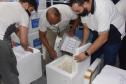 Paraná recebe mais 348 mil doses de vacinas contra a Covid-19