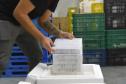 Paraná recebe novo lote de vacinas contra a Covid-19 e distribui 195,3 mil imunizantes nesta terça