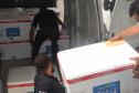 Mais 61 mil vacinas contra a Covid-19 para crianças chegam ao Estado nesta quinta 