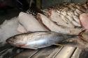 Vigilância Sanitária alerta sobre cuidados na compra de pescados para a Semana Santa.