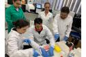 Estudo aponta que chikungunya em circulação no Paraná tem origem outras regiões do Brasil