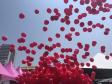 Com foco na saúde da mulher, Governo do Estado promove a 1ª etapa do Paraná Rosa em Ação