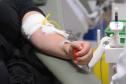 Dia Nacional do Doador de Sangue neste sábado reforça importância da solidariedade