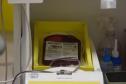 Dia Nacional do Doador de Sangue neste sábado reforça importância da solidariedade