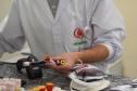 Dia Nacional do Doador de Sangue neste sábado reforça importância da solidariedade