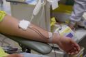 Dia Nacional do Doador de Sangue neste sábado reforça importância da solidariedade