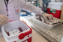 Paraná envia bolsas de sangue e plaquetas para o Rio Grande do Sul