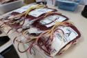 Paraná envia bolsas de sangue e plaquetas para o Rio Grande do Sul