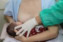 Hospital Universitário de Maringá alcança 95% de aleitamento em prematuros