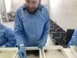 58 milhões de wolbitos devem ajudar Londrina no combate à dengue e arboviroses