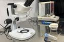Método Wolbachia: Paraná solta mosquitos na inauguração da biofábrica em Foz do Iguaçu