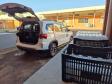 Combate à dengue: Londrina e Foz do Iguaçu vão soltar 4 milhões de Wolbitos na semana