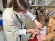 Com mais de 160 mil doses aplicadas, vacinação nas escolas é prorrogada