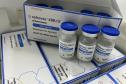 Paraná receberá nova remessa com 96.600 doses de vacina contra a Covid-19