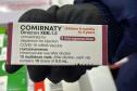 Paraná recebe novas doses de vacinas contra a Covid-19