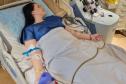 Hemonúcleo do Paraná celebra recorde de compatibilidade de medula óssea; veja como doar
