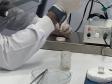 Produção de soro: unidade do Paraná recebe 2,5 mil aranhas para extração do veneno