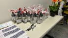 Banco de Leite do Hospital do Trabalhador promove encontro com doadoras