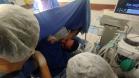 Rede materno-infantil do Estado garante parto seguro de gêmeas após gestação de alto risco