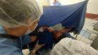 Rede materno-infantil do Estado garante parto seguro de gêmeas após gestação de alto risco