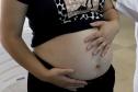 Destaque nacional em pré-natal, Paraná cuida das mães desde o começo dessa fase da vida