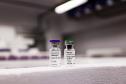 Vacina contra a dengue é ampliada para mais 102 municípios do Paraná