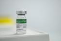 Dia D: Paraná aplica 374,8 mil vacinas, supera meta e está em 2º na imunização contra a gripe