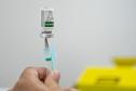 Dia D: Paraná aplica 374,8 mil vacinas, supera meta e está em 2º na imunização contra a gripe