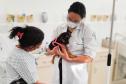Humanização da saúde: hospitais do Estado têm ações para muito além do tratamento
