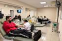 242 mil paranaenses são doadores de sangue; percentual está acima da média nacional