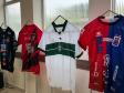 Doe Sangue Pelo Esporte - Hemepar