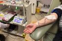 242 mil paranaenses são doadores de sangue; percentual está acima da média nacional