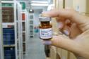 Paraná aplica “dose zero” em mais de 17 mil  bebês com menos de um ano para controle do sarampo
