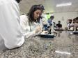 Saúde faz capacitação sobre acidentes com animais peçonhentos no Norte Pioneiro