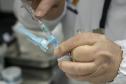 Dia D de Multivacinação mobiliza 10 mil profissionais em 1370 salas de aplicação pelo Paraná