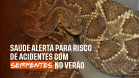 Secretaria da Saúde alerta para risco de acidentes com serpentes no verão