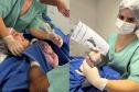 Serviço obstétrico: Hospital Regional de Telêmaco Borba registra primeiro parto