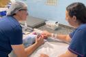 Paraná amplia vacinação da BCG em maternidades e protege bebês contra a tuberculose