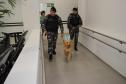 Hospital de Reabilitação inicia projeto de terapia de pacientes com cães da PMPR