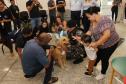 Hospital de Reabilitação inicia projeto de terapia de pacientes com cães da PMPR