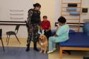 Hospital de Reabilitação inicia projeto de terapia de pacientes com cães da PMPR