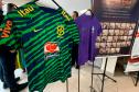 campanha doe sangue pelo esporte